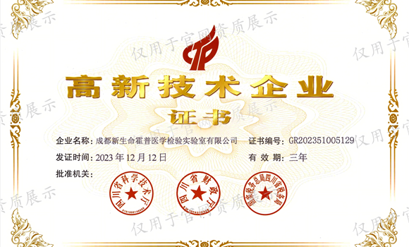 高新技术企业